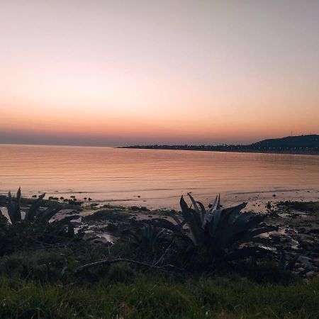 Cabana I Punta Negra Piriápolis Eksteriør billede